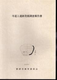 寺道上遺跡発掘調査報告書