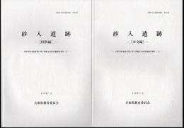 兵庫県文化財調査報告　第161冊　砂入遺跡－小野川放水路事業に伴う埋蔵文化財発掘調査報告書（Ⅰ）　全3冊