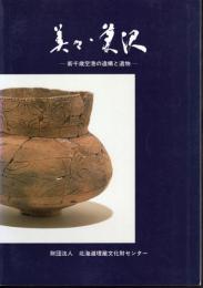 北海道埋蔵文化財センター調査報告書　美々・美沢－新千歳空港の遺構と遺物