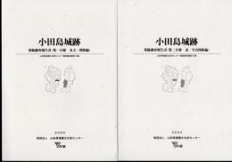 山形県埋蔵文化財センター調査報告書第131集　小田島城跡発掘調査報告書　全2冊