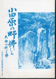 小田原市文化財調査報告書第二十集　小田原の野佛たち－民衆の祈りと姿