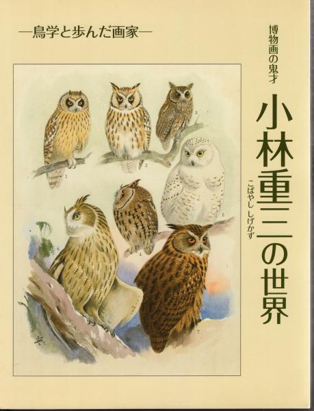 博物画の鬼才 小林重三の世界－鳥学と歩んだ画家(町田市立博物館