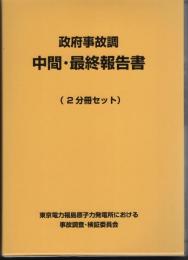 政府事故調　中間報告書/最終報告書　2分冊セット