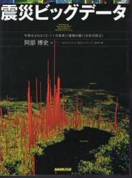 震災ビッグデータ　可視化された〈3・11の真実〉〈復興の鍵〉〈次世代防災〉