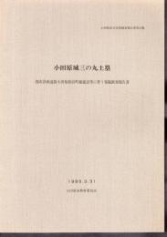 小田原市文化財調査報告書第28集　小田原城三の丸土塁－都市計画道路小田原駅浜町線建設等に伴う発掘調査報告書
