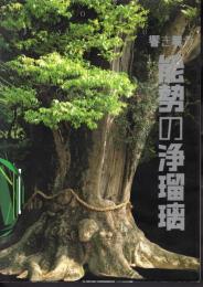 能勢の浄瑠璃民俗文化財伝承活用等事業報告書　響き舞う　能勢の浄瑠璃