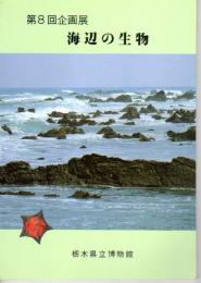 企画展　海辺の生物