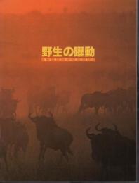 特別企画展　「地球のなかまたち」第2部　野生の躍動－ヨシモトコレクション