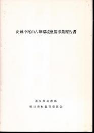 史跡中尾山古墳環境整備事業報告書
