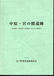 中原・宮の腰遺跡－送電線路「鬼怒川線」建替補強工事に伴う発掘調査