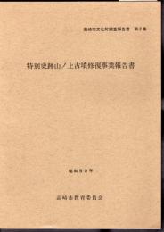 高崎市文化財調査報告書　第2集　特別史跡山ノ上古墳修復事業報告書