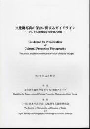 文化財写真の保存に関するガイドライン－デジタル画像保存の実情と課題