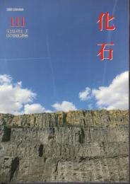 化石　第111号
