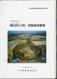 壬生町埋蔵文化財調査報告書第19集　栃木県壬生町「桃花原古墳」発掘調査概報