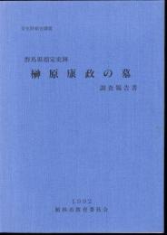 文化財総合調査　群馬県指定史跡　榊原康政の墓　調査報告書