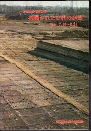 企画展　新発見の考古資料　発掘された古代の水田