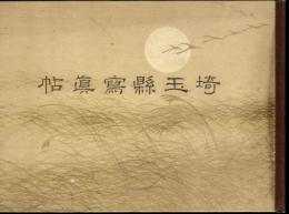 埼玉県立図書館覆刻叢書（19）　埼玉県写真帖