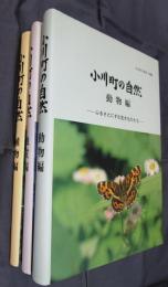 小川町の歴史別編　小川町の自然　植物編/地質編/動物編　3冊