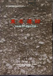 東名遺跡群発掘調査概要報告書1　東名遺跡－日本最古の湿地性貝塚