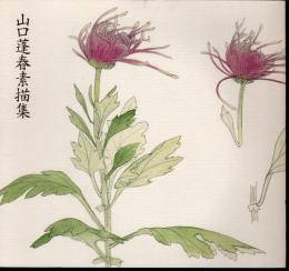 山口蓬春素描集