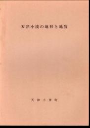 天津小湊の地形と地質