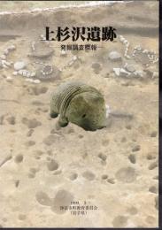 上杉沢遺跡　発掘調査概報