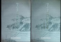 埼玉県中世石造遺物調査報告書　全2冊