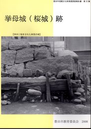 豊田市埋蔵文化財発掘調査報告書　第33集　挙母城(桜城)跡　洪水に悩まされた未完の城