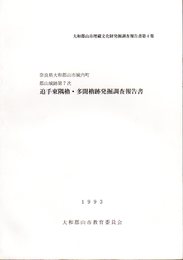 大和郡山市埋蔵文化財発掘調査報告書第4集　奈良県大和郡山市城内町　郡山城跡第7次　追手東隅櫓・多聞櫓跡発掘調査報告書