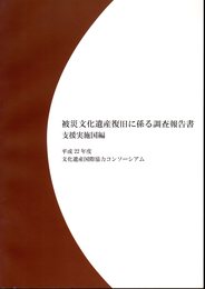 被災文化遺産復旧に係る調査報告書　支援実施国編　平成22年度文化遺産国際協力コンソーシアム