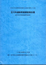 岩手県文化振興事業団埋蔵文化財報告書第426集　玉川向遺跡発掘調査報告書　通常砂防事業関連遺跡発掘調査