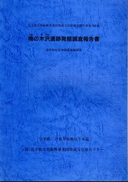 岩手県文化振興事業団埋蔵文化財調査報告書第460集　梅の木沢地区遺跡発掘調査報告書　通常砂防事業関連発掘調査