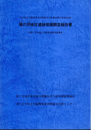 岩手県文化振興事業団埋蔵文化財調査報告書第456集　滝ノ沢地区遺跡発掘調査報告書　国道4号拡幅工事関連遺跡発掘調査