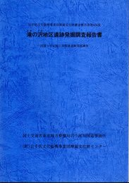 岩手県文化振興事業団埋蔵文化財調査報告書第456集　滝ノ沢地区遺跡発掘調査報告書　国道4号拡幅工事関連遺跡発掘調査