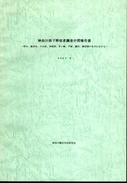 神奈川県下野宿者調査中間報告書－厚木、海老名、小田原、相模原、茅ヶ崎、平塚、藤沢、横須賀の各市における