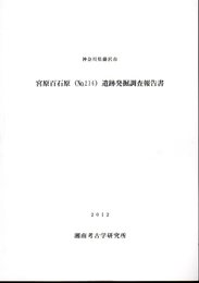 神奈川県藤沢市　宮原百石原(no.236)遺跡発掘調査報告書