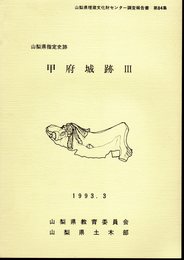 山梨県埋蔵文化財センター調査報告書第84集　甲府城跡Ⅲ　