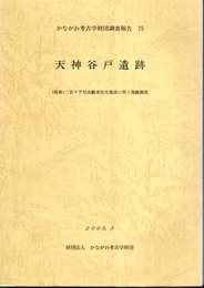 かながわ考古学財団調査報告75　天神谷戸遺跡　(仮称)二宮ケア付高齢者住宅建設に伴う発掘調査