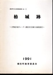 櫛形町文化財調査報告No.6　椿城跡－上野地区地中レーダー調査及び詳細分布調査報告