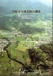 川原寺寺域北限の調査　飛鳥藤原京第119-5次発掘調査報告