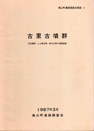 嵐山町遺跡調査会報告2　古里古墳群　北田遺跡・上土橋支群・駒込支群の発掘調査