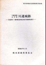 栃木県埋蔵文化財調査報告第48集　下都賀郡大平町　川連城跡－県道栃木・藤岡線道路建設地内発掘調査報告