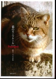 猫のモンマルトル Pourquoi　横井一夫写真集