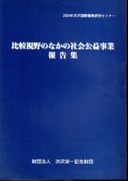 2004年渋沢国際儒教研究セミナー　比較視野のなかの社会公益事業報告集