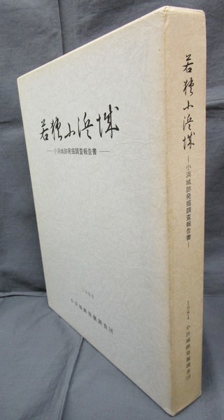 日本史学研究叢書16 幕藩制社会の財政構造(長野暹) / 氷川書房