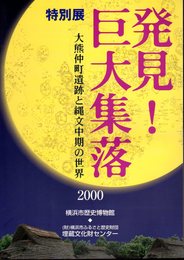 特別展　発見！巨大集落－大熊仲町遺跡と縄文中期の世界