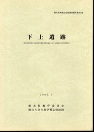 栃木県埋蔵文化財調査報告第293集　下上遺跡－県営畑地帯総合土地改良事業清原南部地区における埋蔵文化財発掘調査