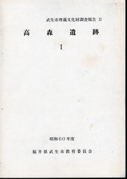 武生市埋蔵文化財調査報告Ⅱ　高森遺跡Ⅰ