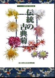 特別企画　伝統の古典菊