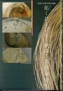 企画展　拓くひとびと－狭山の奈良・平安